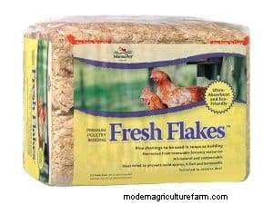 Tips to Keep Chickens Warm in the Winter