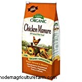 Should I be Concerned About Watery Chicken Poop?