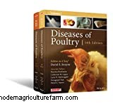 Should I be Concerned About Watery Chicken Poop?