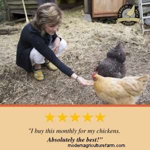 5 Ways to Save Money on Chicken Feed