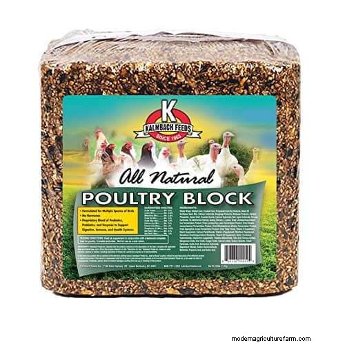 Why are Flock Blocks a Good Treat for Chickens?