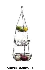 Can Chickens Eat Tomatoes?