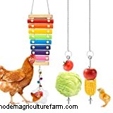 Can Chickens Eat Peaches?