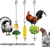 Can Chickens Eat Peaches?