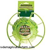 Can Chickens Eat Peaches?