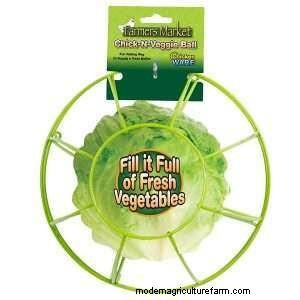 Can Chickens Eat Celery?