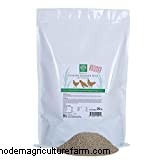 Can chickens eat Zucchini?