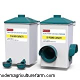 Can chickens eat Zucchini?