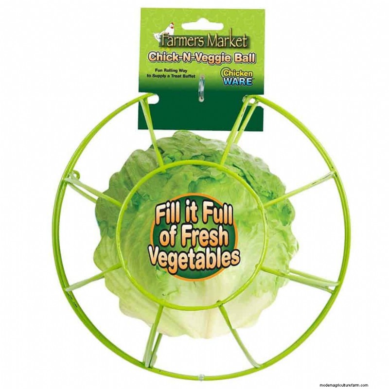 Can Chickens Eat Kale?