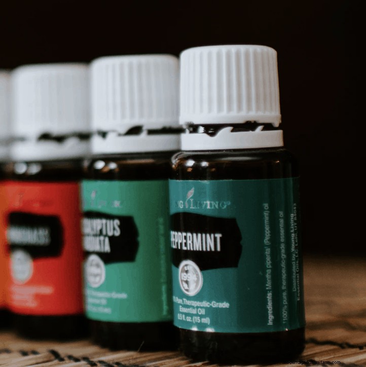 Essential Oils for Chickens