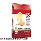 What is Pasty Butt in Chickens?