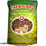 What is Pasty Butt in Chickens?