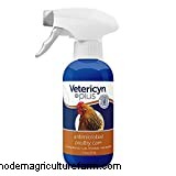 12 Home Remedies For FowlPox In Chickens