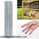 How to Snake Proof a Chicken Coop