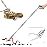 How to Snake Proof a Chicken Coop