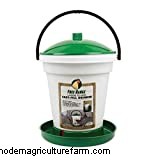 How To Diagnose And Treat A Constipated Chicken!