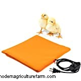 5 Safe Alternatives To Chicken Brooder Lamps
