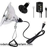 5 Safe Alternatives To Chicken Brooder Lamps