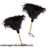 5 Safe Alternatives To Chicken Brooder Lamps