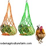 Can Chickens Eat Cauliflower?