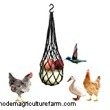 Can Chickens Eat Cauliflower?