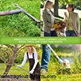 10 Tips How To Feed Your Chickens For Free!