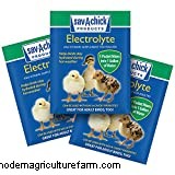 What Can A Chicken’s Comb Tell You?