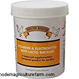 What Can A Chicken’s Comb Tell You?