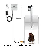 6 Best Automatic Chicken Coop Doors!
