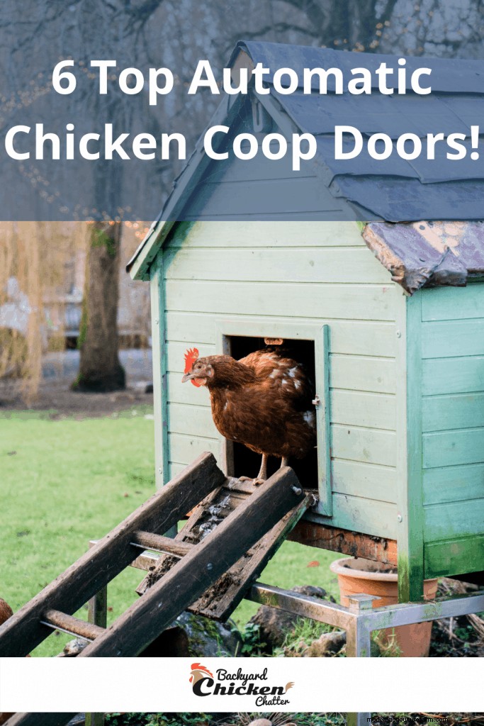 6 Best Automatic Chicken Coop Doors!