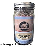 9 Summer Treats For Backyard Chickens