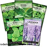 9 Summer Treats For Backyard Chickens