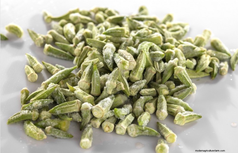 Can Chickens Eat Okra?