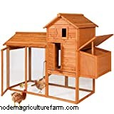 New Backyard Chicken Owner Checklist