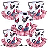 New Backyard Chicken Owner Checklist