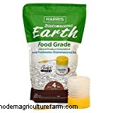 New Backyard Chicken Owner Checklist