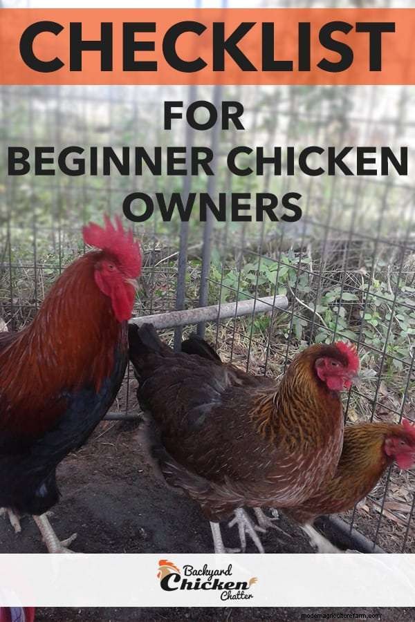 New Backyard Chicken Owner Checklist