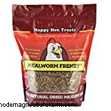 When Do Chickens Start to Lay Eggs?