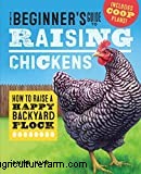 When Do Chickens Start to Lay Eggs?