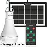 How To Get Chickens To Go Into The Coop At Night?