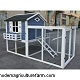 5 Bantam Chickens Ideal For A Small Backyard!