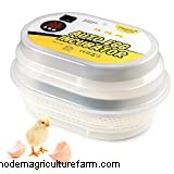 Barred Rock vs Rhode Island Red