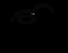 Best Chicken Hatchery In North Carolina – Chicks For Sale