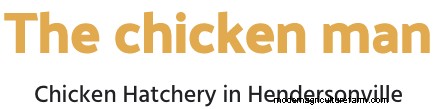 Best Chicken Hatchery In North Carolina – Chicks For Sale