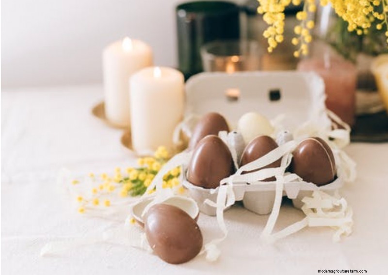 Considering black Copper Marans chickens? Everything you need to know