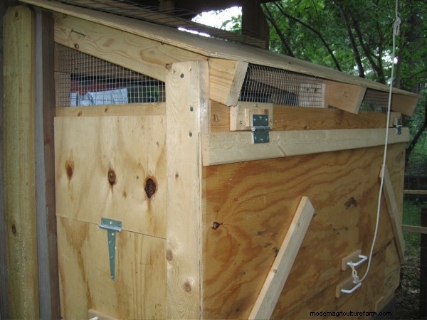 Chicken Coop Ventilation: How and Why It’s Important
