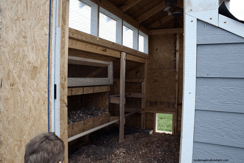 Chicken Coop Ventilation: How and Why It’s Important