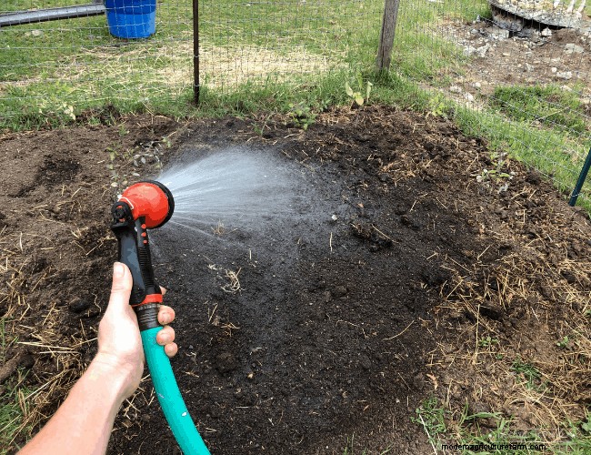 Fast + Easy Chicken Garden (Using the Chaos Gardening Method!)