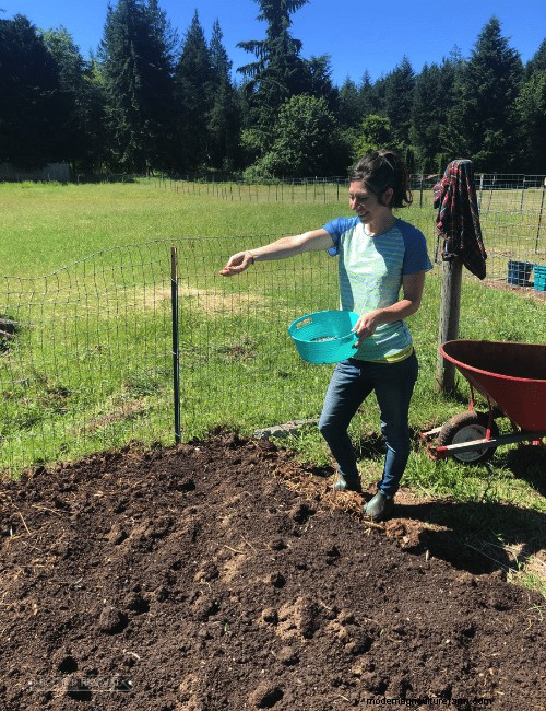 Fast + Easy Chicken Garden (Using the Chaos Gardening Method!)