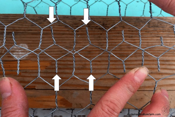 How to Make a DIY Garden Cloche + Gardening with Chickens